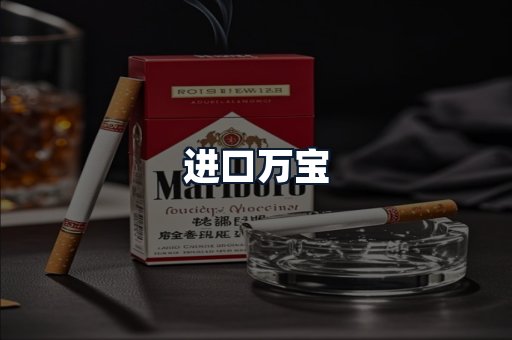 进口万宝