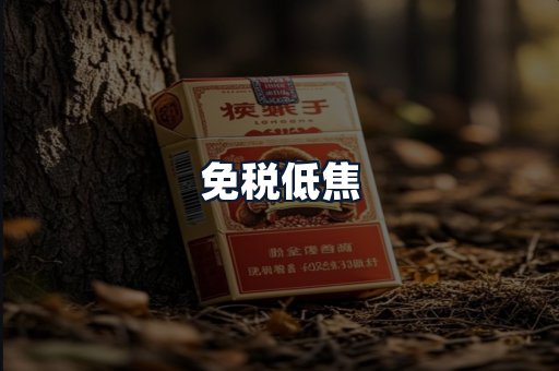 免税低焦